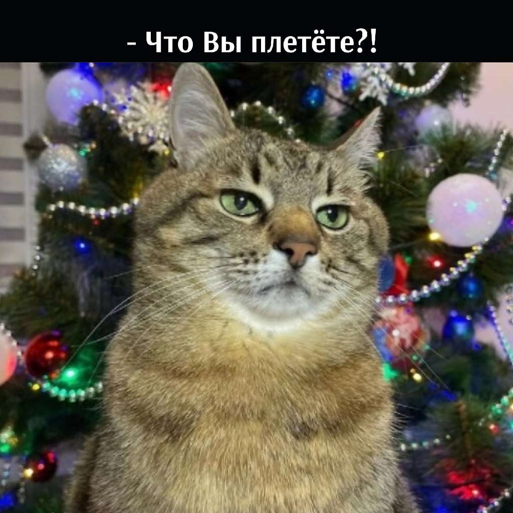       - 14  2022  16:23 - 3