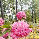 ���� ����, �����-���������, 68 ��� - ��������� 9 ���� 2021 � ������ ����� 2021�