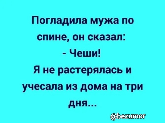   ! - 19  2021  08:48