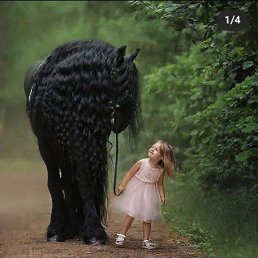 ���� Shoxruh, ������, 35 ��� - ��������� 27 ������ 2021