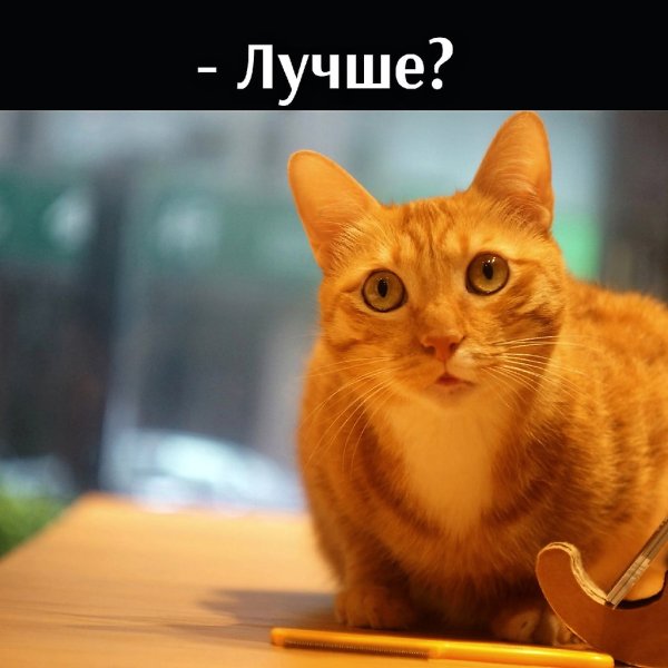       - 17  2021  10:34 - 3