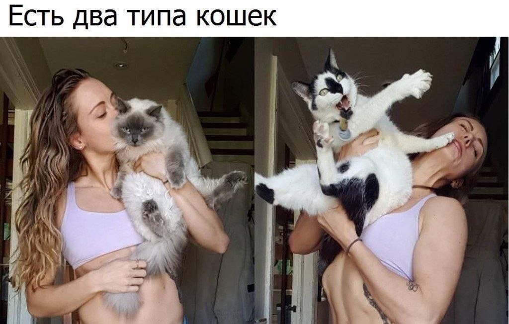    - 17  2021  21:44