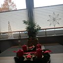 ���� Vera, ������ - ��������� 27 ������ 2021 � ������ ������ ��������