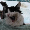 ���� Sergey, ����-�����������, 49 ��� - ��������� 21 ���� 2021 � ������ ���� ����������