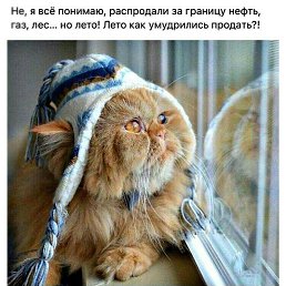 �����, ������