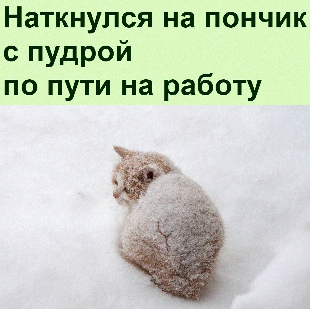   :D - 19  2021  20:25