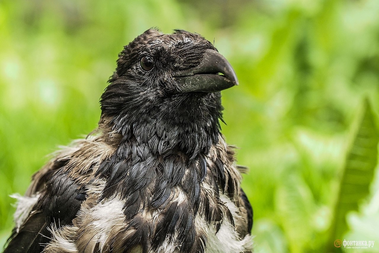    ,     .    3.5  ... - 4