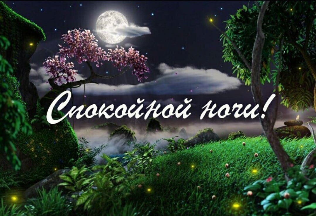   ,    . - 28  2021  21:01 - 3