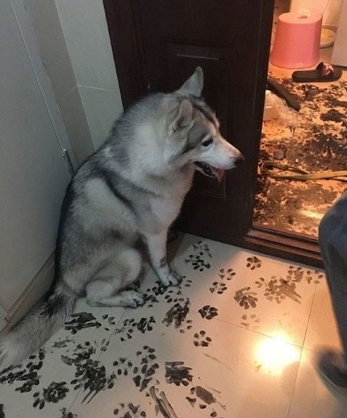     - 9