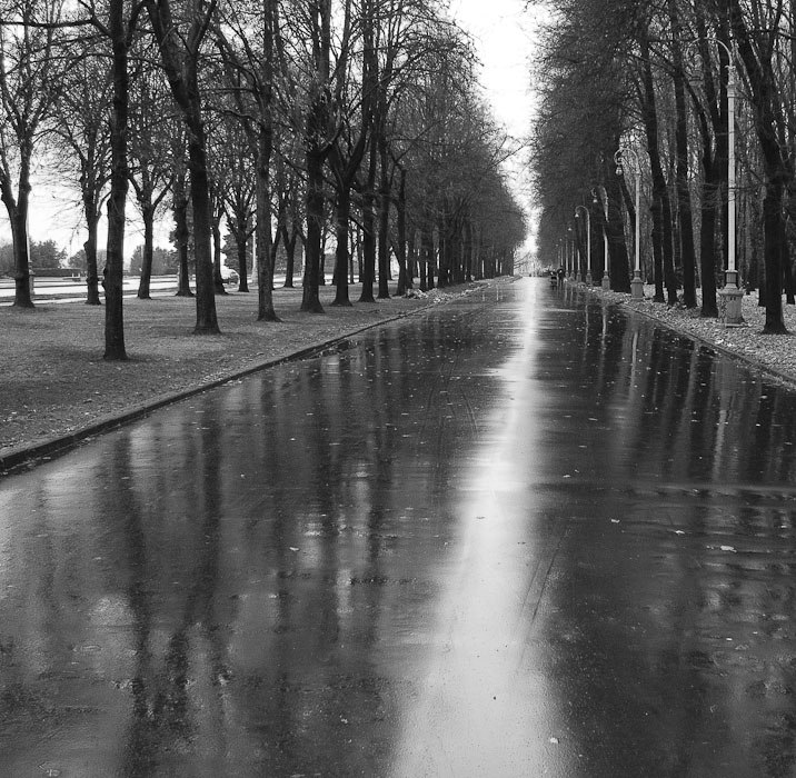 Серость.В разноцветной осени часто серость прячется,Городские жители знают всё о ней.Их она не ...