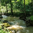 ������ �� ������� ������� � �������