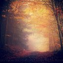 ���� ������, ������, 24 ���� - ��������� 23 ������� 2021 � ������ ���� ����������