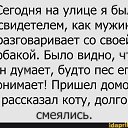 ���� �������, ������, 42 ���� - ��������� 9 ������ 2021 � ������ ������ ��������