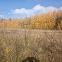 ���� �������, �����, 54 ���� - ��������� 5 ������� 2021 � ������ ���� ����������