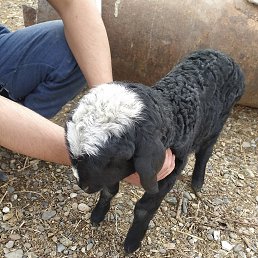 ���� ������, ������� - ��������� 28 ������ 2021