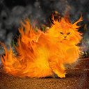 ���� �������, ����, 55 ��� - ��������� 4 ������ 2021 � ������ ���� ����������