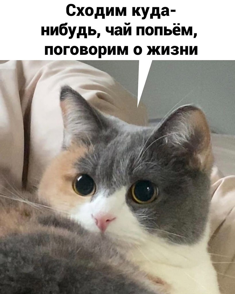 ������� � ���� �����: ������� ���������� - 2