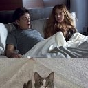 ���� ������, ���� - ��������� 11 ������ 2021 � ������ ���������