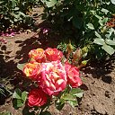  ,  -  16  2021    2021