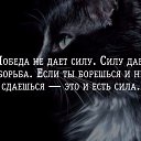 ���� �������, �������� - ��������� 17 ���� 2021 � ������ ���� ����������