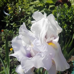 ���� Asmud, ������� - ��������� 14 ������ 2022