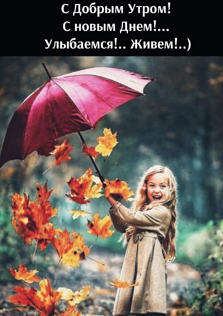 �������� ������� - 31 ������� 2021 � 08:09