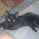 ���� �����, ��� - ��������� 18 ��� 2021 � ������ ������