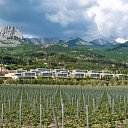 ���� ����, �����, 54 ���� - ��������� 8 ������ 2021 � ������ ���� ����������