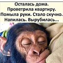 ���� �����, ���������, 39 ��� - ��������� 21 ������� 2021