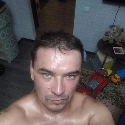 ���� ����������, ���������, 42 ���� - ��������� 18 ���� 2021