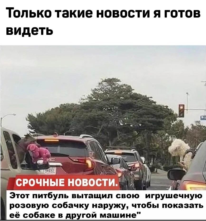 ��� ���� ����� �����������