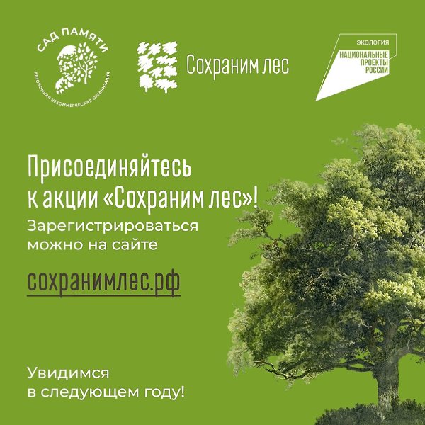 Участники акции «Сохраним лес» высадили больше 70 млн деревьев по всей России! Более 70 млн деревьев ... - 8