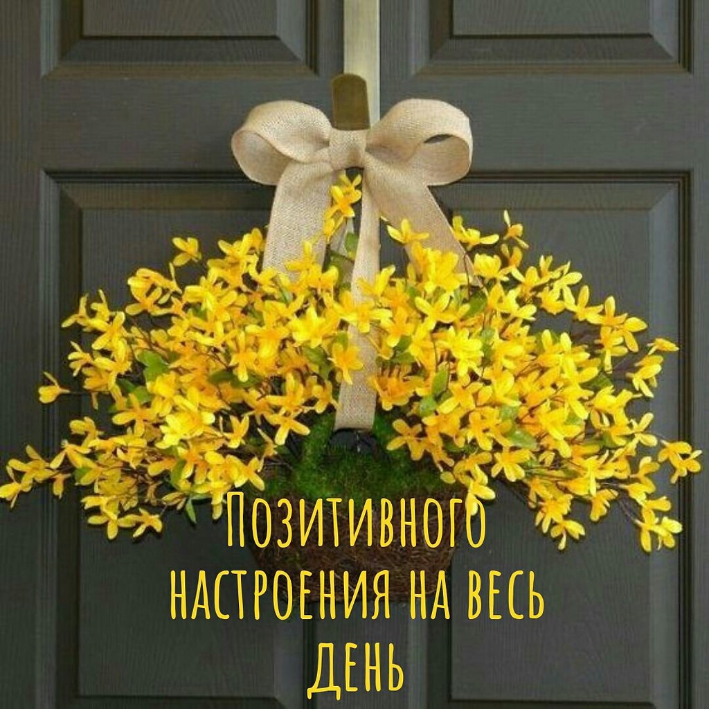   ,    . - 8  2021  11:55