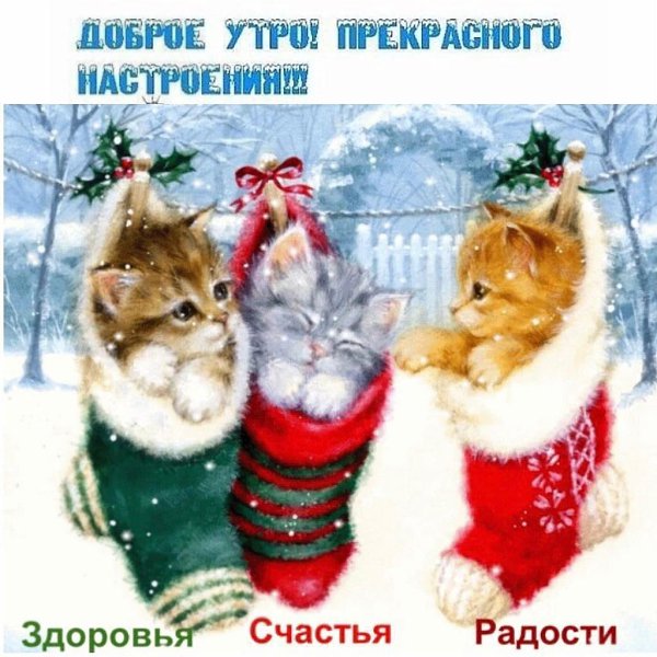  - 14  2021  09:11