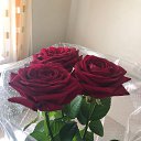 ���� Irin@, ��������� - ��������� 16 ������� 2021 � ������ �2021�