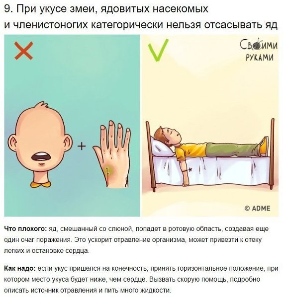 9 известных приемов первой помощи, которые 90% людей делают неправильно. - 9