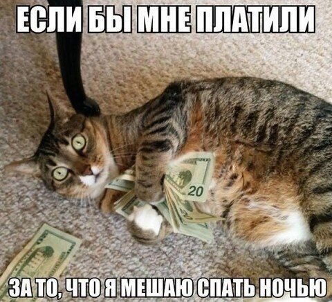    - 10  2021  13:27