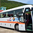 ���� �������, ����������� - ��������� 22 ������ 2022 � ������ ��������