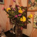 ���� ������, ���������, 51 ��� - ��������� 9 ������ 2021 � ������ ���� ����������