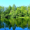 ���� ������, �����-���������, 44 ���� - ��������� 4 ���� 2021 � ������ ����� �������
