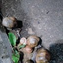���� �����, ��������, 56 ��� - ��������� 7 �������� 2021 � ������ ���� ����������