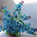 ���� ������, ���, 67 ��� - ��������� 21 ������ 2021 � ������ ������ ��������
