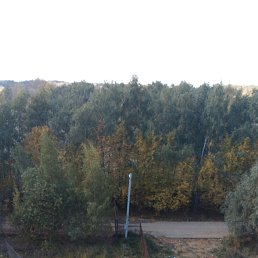 ���� ������, ������, 55 ��� - ��������� 3 ������� 2021