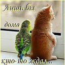 ���� ����, ������ - ��������� 16 ������� 2021 � ������ ���� ����������