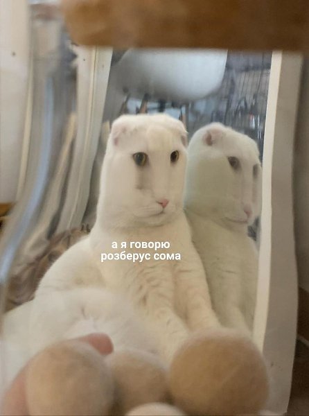 ������ - 22 ������� 2021 � 20:36 - 2