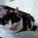 ���� Sergey, ����-�����������, 49 ��� - ��������� 21 ���� 2021 � ������ ���� ����������