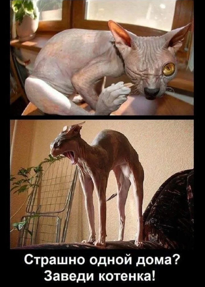   ...))