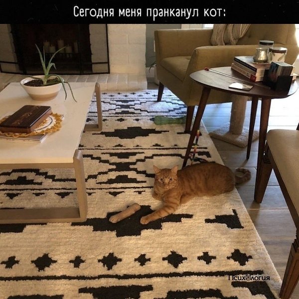 Если честно, меня тоже! Минут 5 не могла понять, где его лапка вторая...
