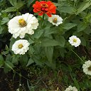 ���� Nikolay, ������ ��������, 73 ���� - ��������� 22 ������� 2021 � ������ �2021 �