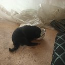 ���� �����, ������, 64 ���� - ��������� 12 ������� 2021 � ������ ���� ����������